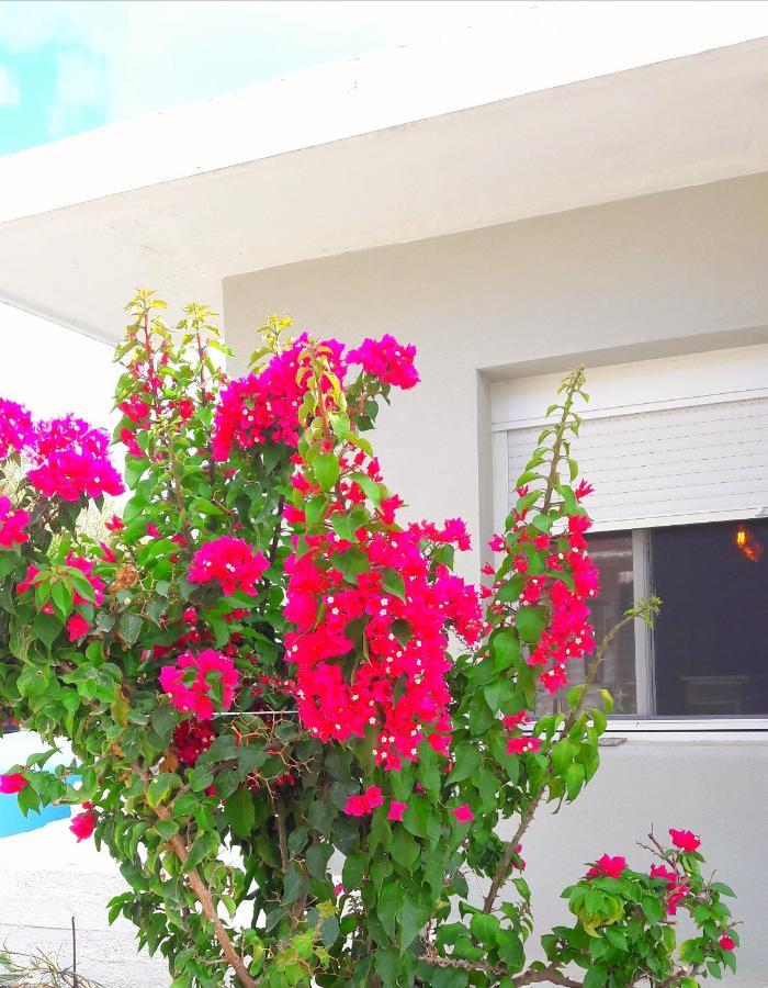 Casa Katina , Villa In Lagana, Agrilia Area Laganas Dış mekan fotoğraf