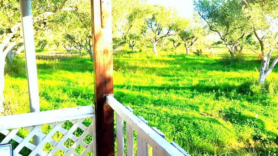 Casa Katina , Villa In Lagana, Agrilia Area Laganas Dış mekan fotoğraf